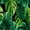 Green Tropical Leaves, variant on Pink Rose Floral 16x24 Flannel Bath Mat for Bathroom, Anti-Slip Backing Soft Bathroom Rug, Washable Water Absorbent Mat