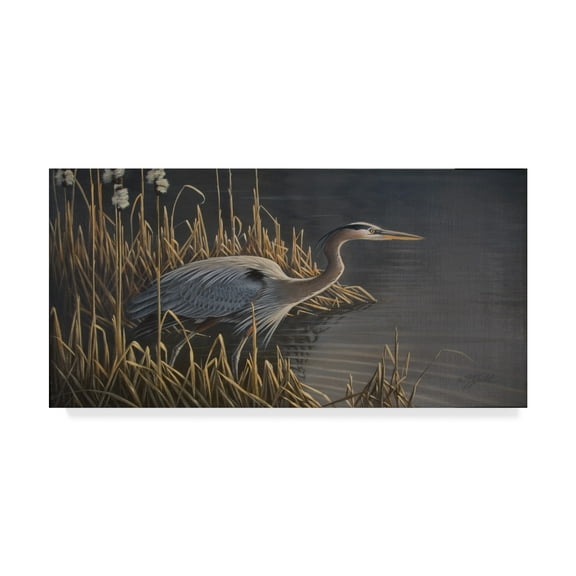 Trademark Fine Art 'Stalking The Edge Heron' Canvas Art by Wilhelm Goebel