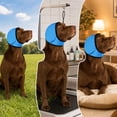thumbnail image 6 of Dog Noise Cancelling Ear Muffs,Noise Cancelling Headphones for Dogs,Dog Earmuffs for Sound,Noise Cancelling for Dogs Adjustable for Grooming Bathing & Swimming, 6 of 6