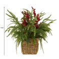 thumbnail image 3 of BotaniNest Vert et Rouge Adapté, 3 of 4