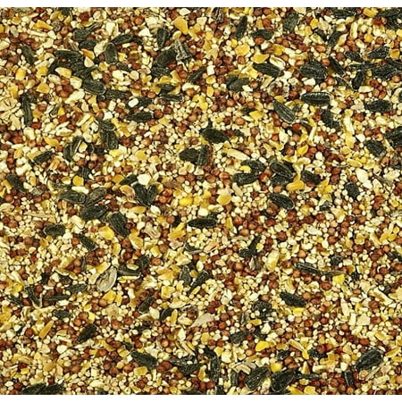 Kaytee Wild Bird Food 1ea/20 lb