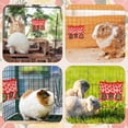 thumbnail image 3 of 3-Hole Guinea Pig Hay Feeder, 13x10.8Inches, Rabbit Hay Feeder Bag, Stainless Steel, 600D Oxford, Watermelon and Strawberry, 3 of 6
