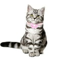 thumbnail image 4 of Sparkling Flower Tie Rhinestone Cat Collar with Secure Metal Buckle Adjustable Pet Necklace for Puppy and Feline Companions, 4 of 5