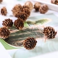thumbnail image 3 of TrayknickAttractive Fake Pine Cone Widely Use Natural Decorative DIY Simulation Pinecone for Festival 20Pcs, 3 of 13