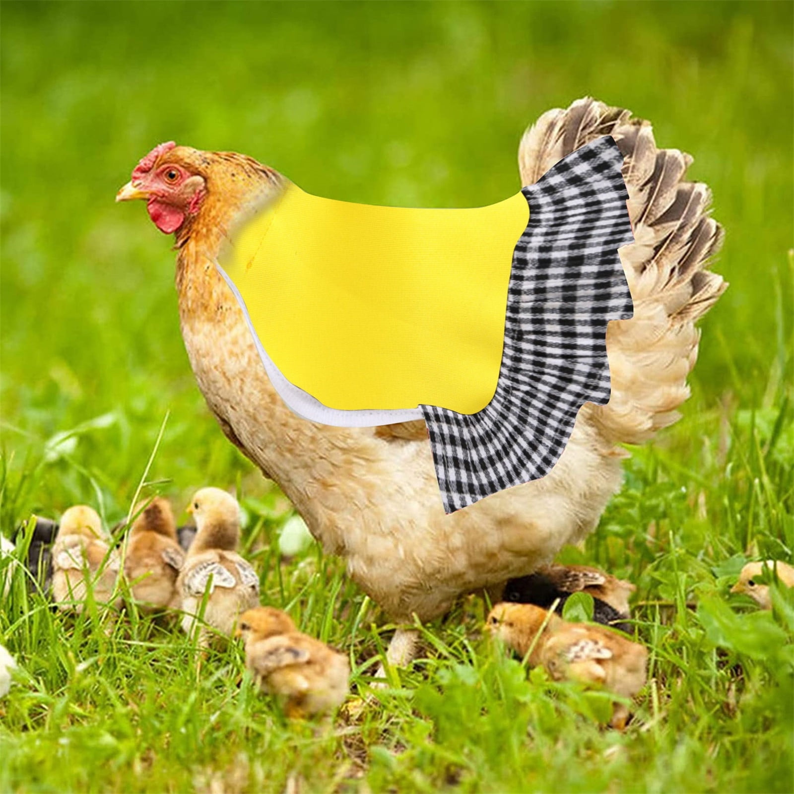 5Pcs Chicken Saddle Apron Hen Back Protection Backyard Poultry Chicken Jackets 
