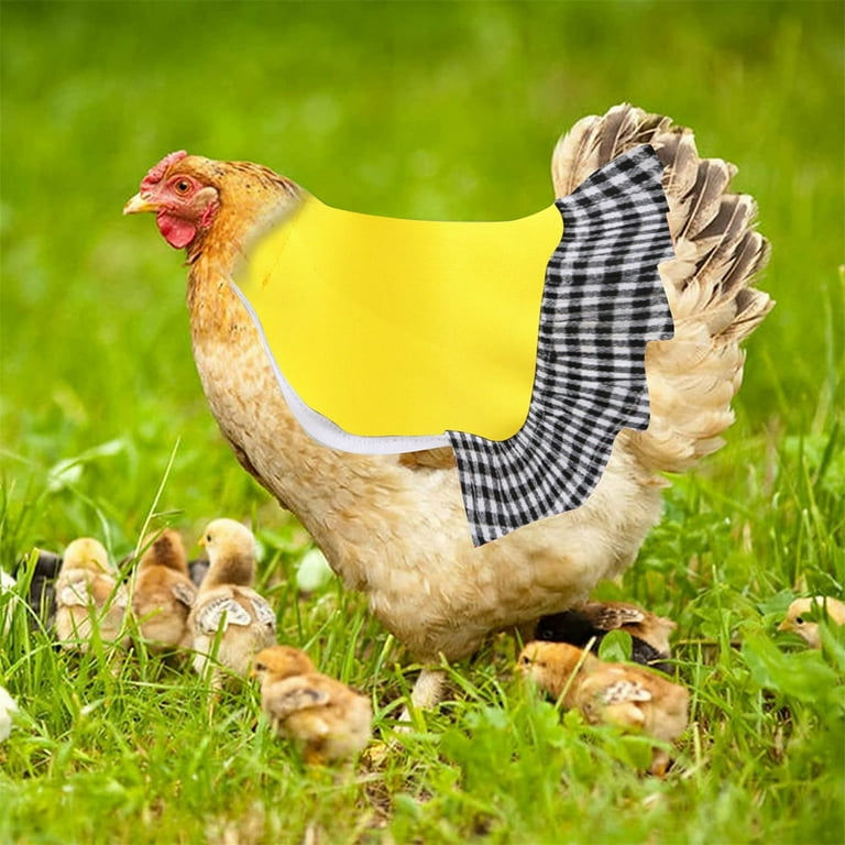 YUEHAO Pet Supplies Chicken Saddle For Hens Chicken Apron With Elastic Strap Chicken Jacket Strap Poultry Protector Hen Feather Fixer Yellow