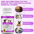 thumbnail image 5 of Oimmal 15-in-1 Multivitamin Chewable Tablets for Dogs, Glucosamine and Fish Oil (EPA 18% & DHA 12%) Support for Joint & Heart Health, Aiding Digestion, Immune System Support 180P, 5 of 10