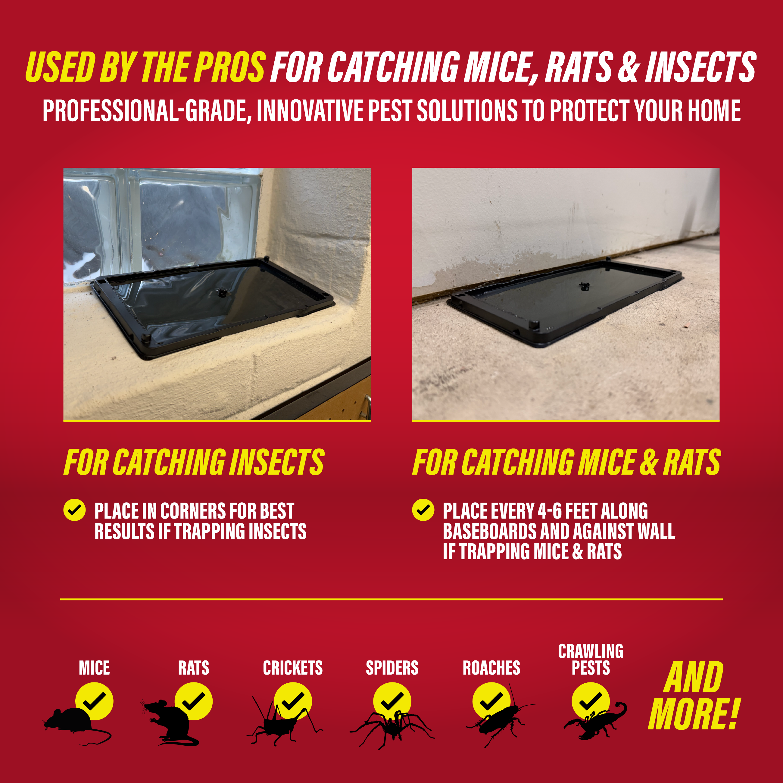 Catchmaster Rat, Snake & Mouse Glue Traps, 6-Pack photo 2