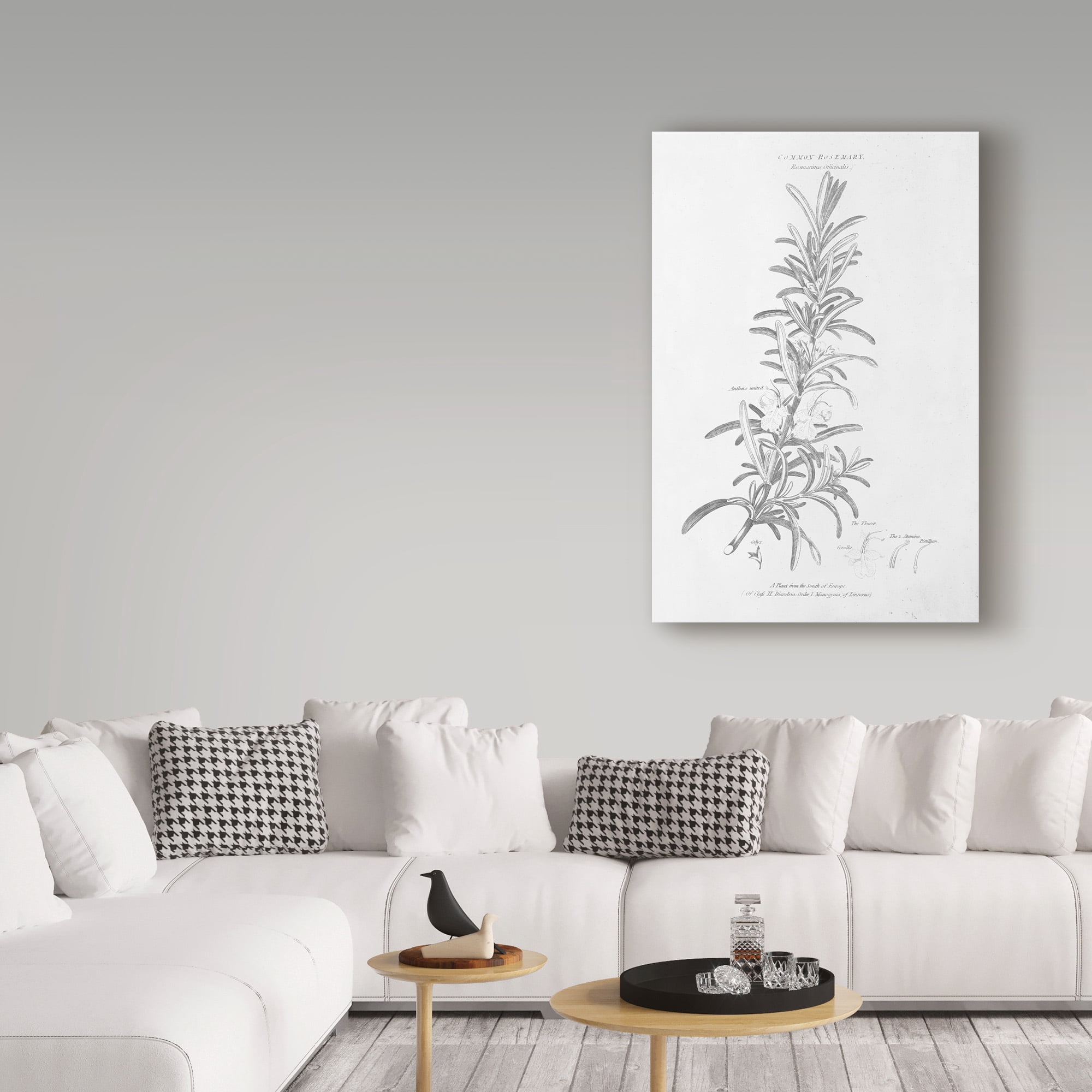 Trademark Fine Art 'Botany Book VI' Canvas Art by Wild Apple Portfolio