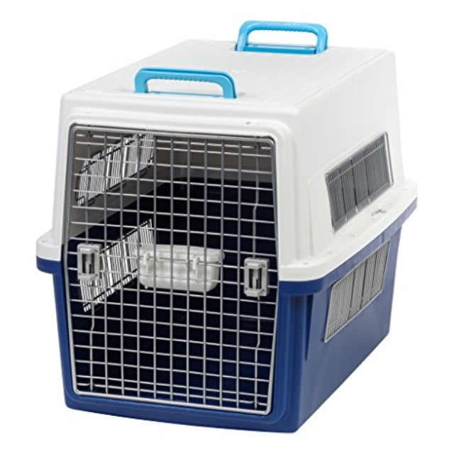 airline approved dog kennel