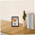thumbnail image 4 of FUEENIRVA Specimen Display Board Display Frame Black Wooden Simple Design 1Pack, 4 of 7