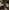 Camo, variant on No Boundaries Plush Shorts, 1.5” Inseam, Women's