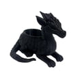 thumbnail image 2 of Sleeping Dragon Planter Vase - Gardening and Plant Lover Gifts | Home Decor Piece for Succulents or Garden | Medieval Boho Flower Pot with Drainage Holes (Black), 2 of 5