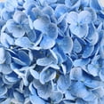 thumbnail image 3 of 3 Pcs Real Touch Hydrangea Artificial Flowers, 21" Blue Full Faux Hydrangea Flowers Latex Fake Flowers for Home Decor Party Floral Arrangements Wedding Bouquets Centerpieces Outdoor Decor, 3 of 7