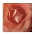 thumbnail image 1 of Gango Home Decor Contemporary Coral Rose Close-Up II by Monika Burkhart (Printed on Paper); One 16x16in Fine Art Paper Giclee Print, 1 of 4