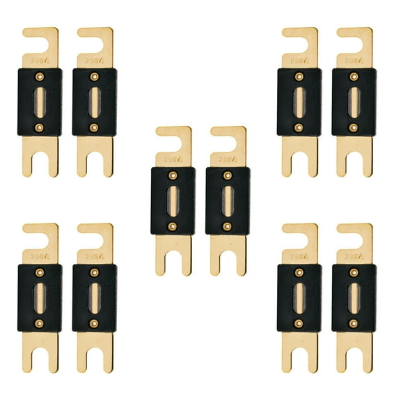 High-Quality Gold Plated 250A Amp ANL Fuse (10Â Pack)