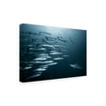 thumbnail image 4 of Andrey Narchuk 'Oppositin' Canvas Art, 4 of 4