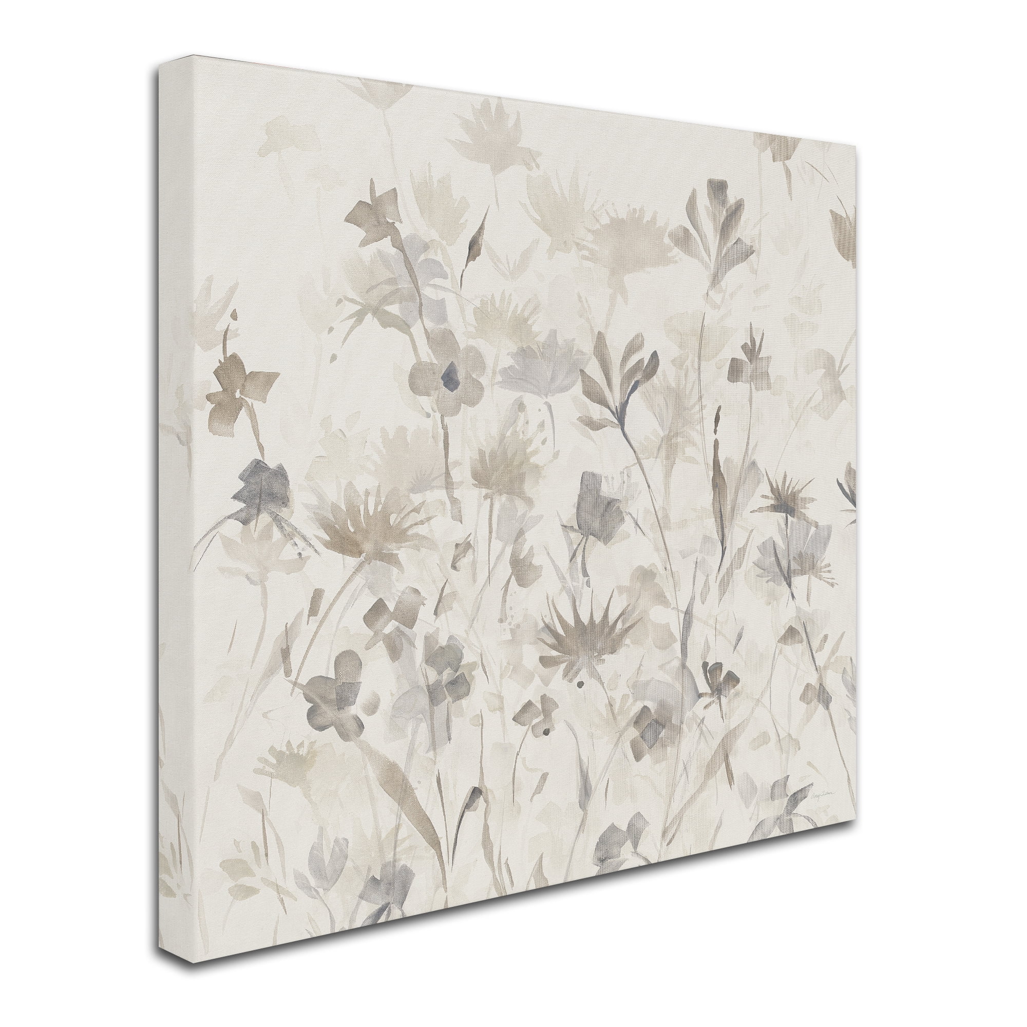 Trademark Fine Art "Garden Shadows IV" Canvas Art by Avery Tillmon