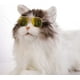 thumbnail image 4 of 4 pares de gafas de sol con forma de gato, protección UV, gafas de sol clásicas retro para perros pequeños para fiestas de disfraces ER, 4 of 5
