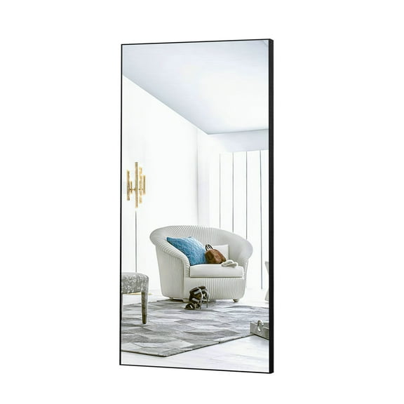 70 in x 30 in Black Modern Full Length Mirror