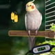 thumbnail image 3 of Perchas Calentadas Para Jaulas De Pájaros, Control Inteligente De Temperatura, Fácil De Instalar, Perchas Calentadoras De Resina Para Climas Fríos, 3 of 7