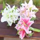 thumbnail image 4 of Plantas Artificial Flor Ramo Seda Decoración Boda Casa Colco Ramo de la boda, 4 of 8