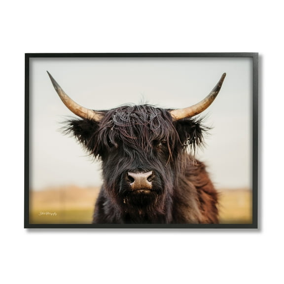 Stupell Industries Black Highland Cow Portrait Animals & Insects Photography Black Framed Art Print Wall Art, 20 x 16
