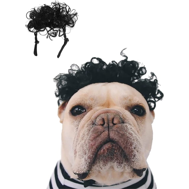 Peluca de disfraz de perro (afro), peluca pequeña mediana para perros/gatos, disfraz de mascota, sesión de fotos, pelucas, lindos accesorios para el cabello