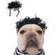 thumbnail image 1 of Peluca de disfraz de perro (afro), peluca pequeña mediana para perros/gatos, disfraz de mascota, sesión de fotos, pelucas, lindos accesorios para el cabello, 1 of 5