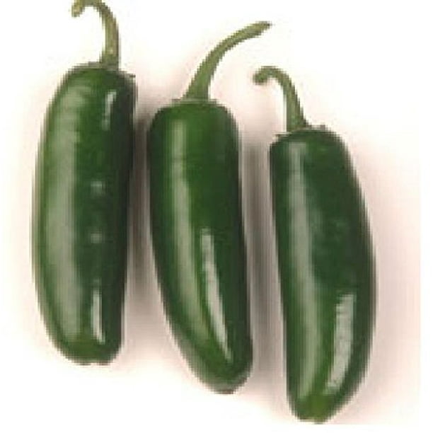 Pepper Hot Jalapeno Major League Hybrid Treated (Capsicum Annuum) 10