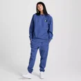 thumbnail image 2 of Champion Adult Sizing Iconic Embroidered Crewneck Sweatshirt - Gray Blue, Size XS-4XL, 2 of 5