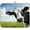 Cow, variant on Easter Dish Drying Mat for Kitchen Counter, Spring Flowers Easter Rabbit Drying Mats Super Absorbent Microfiber Dishs Pad Coffee Bar Mat Extra Large