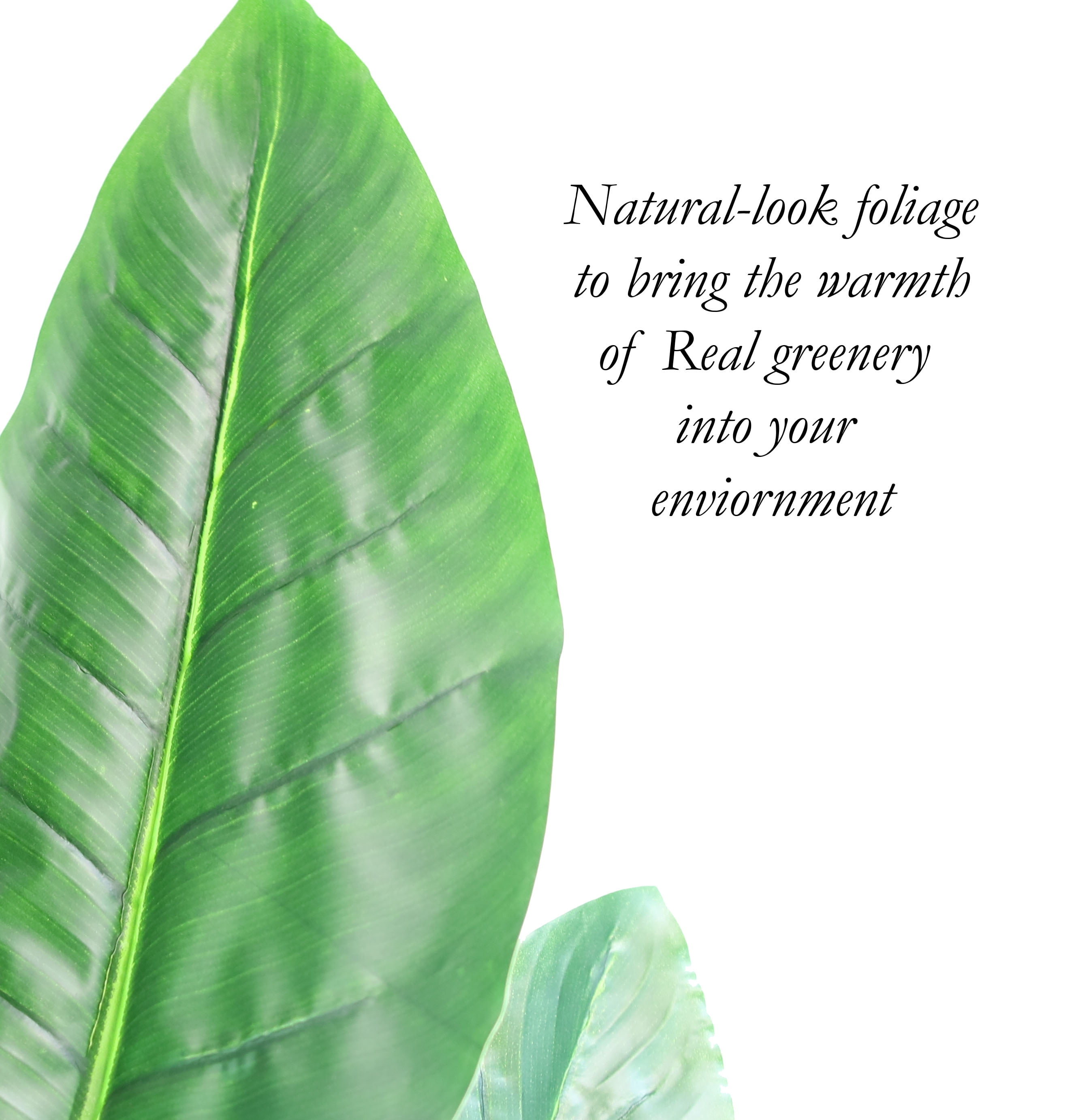 The Mod Greenhouse 72" Artificial Silk Green Bird of Paradise Plant in a Matte Black Grower's Pot