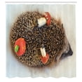 thumbnail image 2 of Ambesonne Hedgehog Shower Curtain, Animal and Mushroom Print, 69"Wx84"L, Coconut and Burnt Sienna, 2 of 4