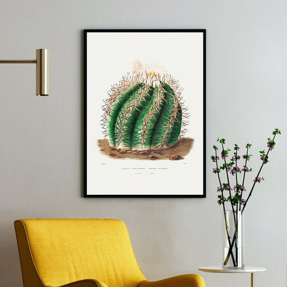 Turk's Head Cactus - Echinocactus Horizonthalonius - 1801–1871 | Charles Antoine Lemaire | Premium Fine Art Print | 19th Century French | Botany Art | Botanical | Plant Art | Nature Art