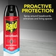 thumbnail image 5 of Raid Ant & Roach Killer, Indoor Insecticide, Residual Killing Power, Outdoor Fresh Scent, 17.5 oz, Pack of 2, 5 of 15