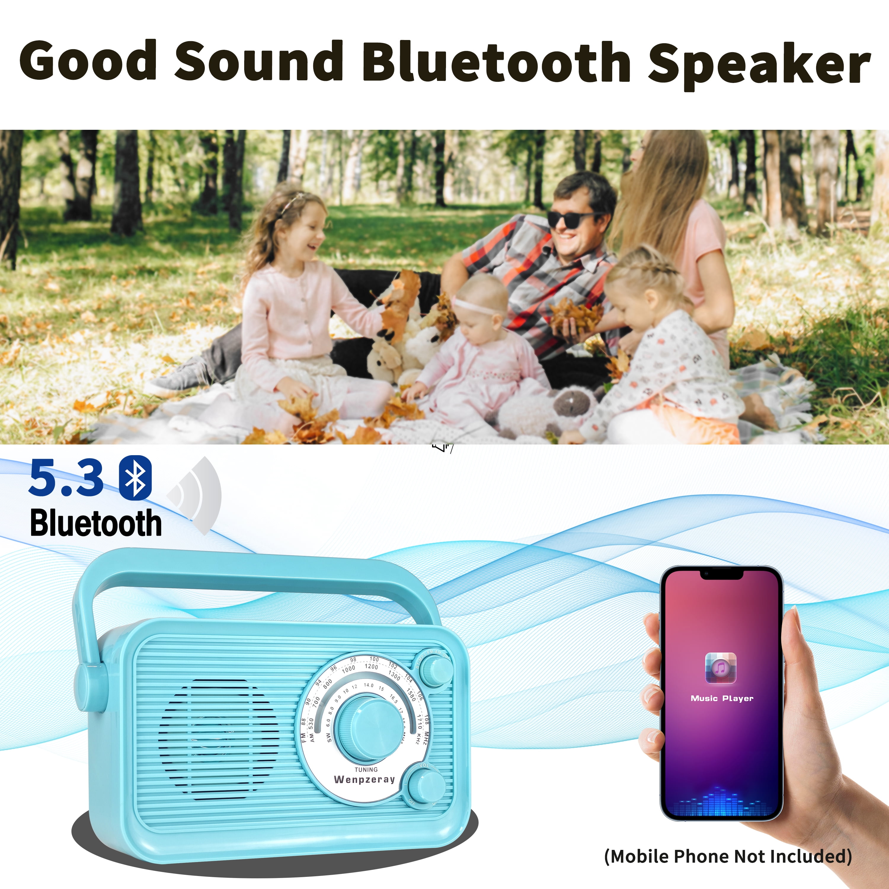Camping Emergency AM FM Shortwave Radio, DSP Chip Bluetooth Speaker, Type-C Charging Retro Portable Radio Wenpzeray D218 (Blue)