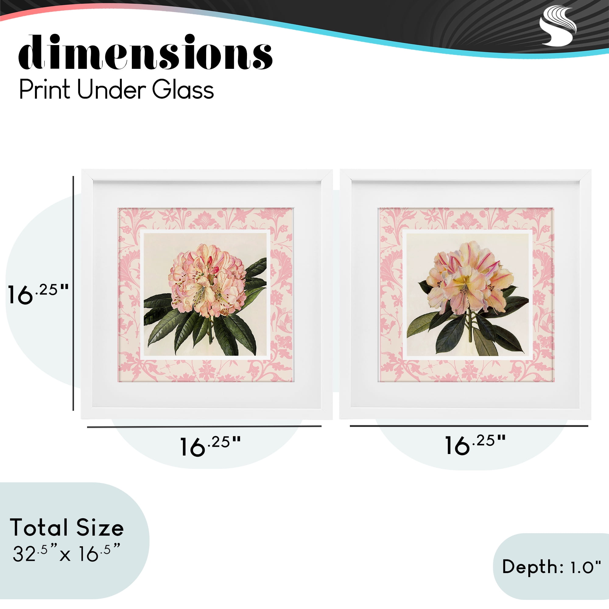 Stupell Industries Pink Vintage Pattern Botanicals 2 Piece White Framed Print Under Glass Set, design by Livi Finn