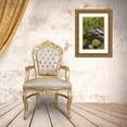 thumbnail image 3 of Paulson, Don 23x32 Gold Ornate Wood Framed with Double Matting Museum Art Print Titled - Oregon, Columbia River Gorge Gorton Creek, 3 of 4