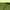 Green, variant on AbbLe 9 Feet Crank & Tilt Patio Umbrella-Red