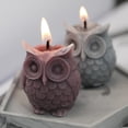 thumbnail image 4 of Juego de 2 Velas de Búho en Silicona para Adornar Dulces y Bombones 2 piezas, 4 of 7