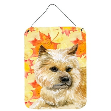 Carolines Treasures BB9951DS1216 Cairn Terrier Fall Wall or Door Hanging Prints Yellow 12WX16H multicolor