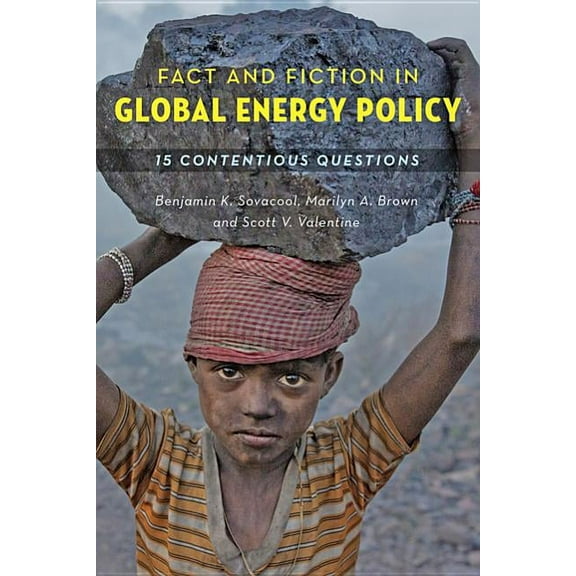 Fact and Fiction in Global Energy Policy: Fifteen Contentious Questions, (Paperback)
