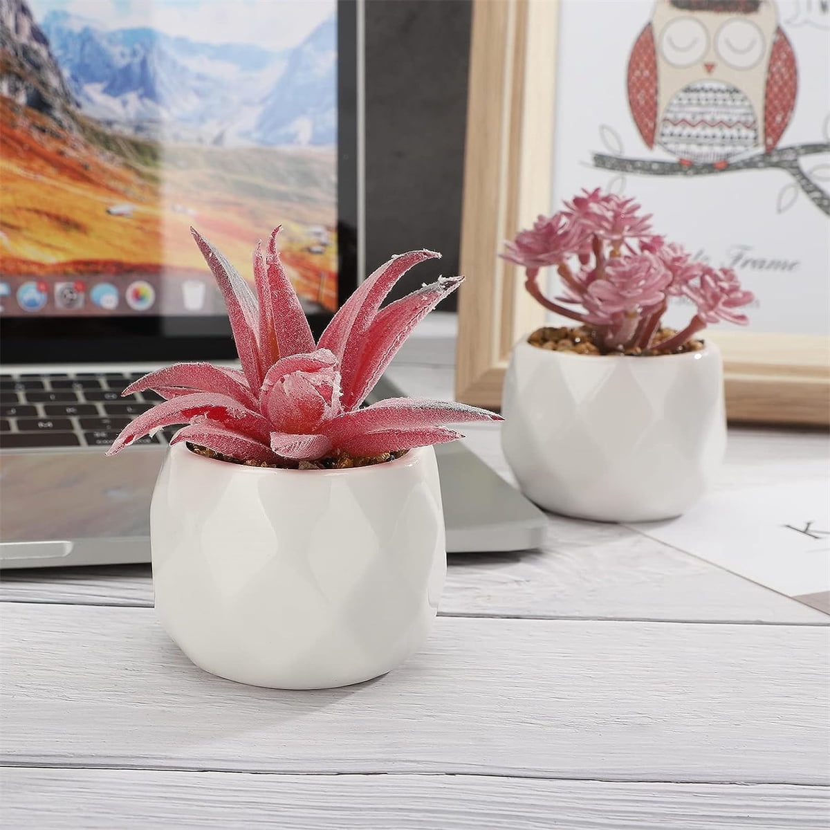 Happon 4Pcs Succulent Artificial Plants,Mini Fake Succulents Plants with Pots,Small Fake Plants for Office Decor,Desk Decor,Home Decor,Indoor Fake Simulation Plants with Pots(Pink)