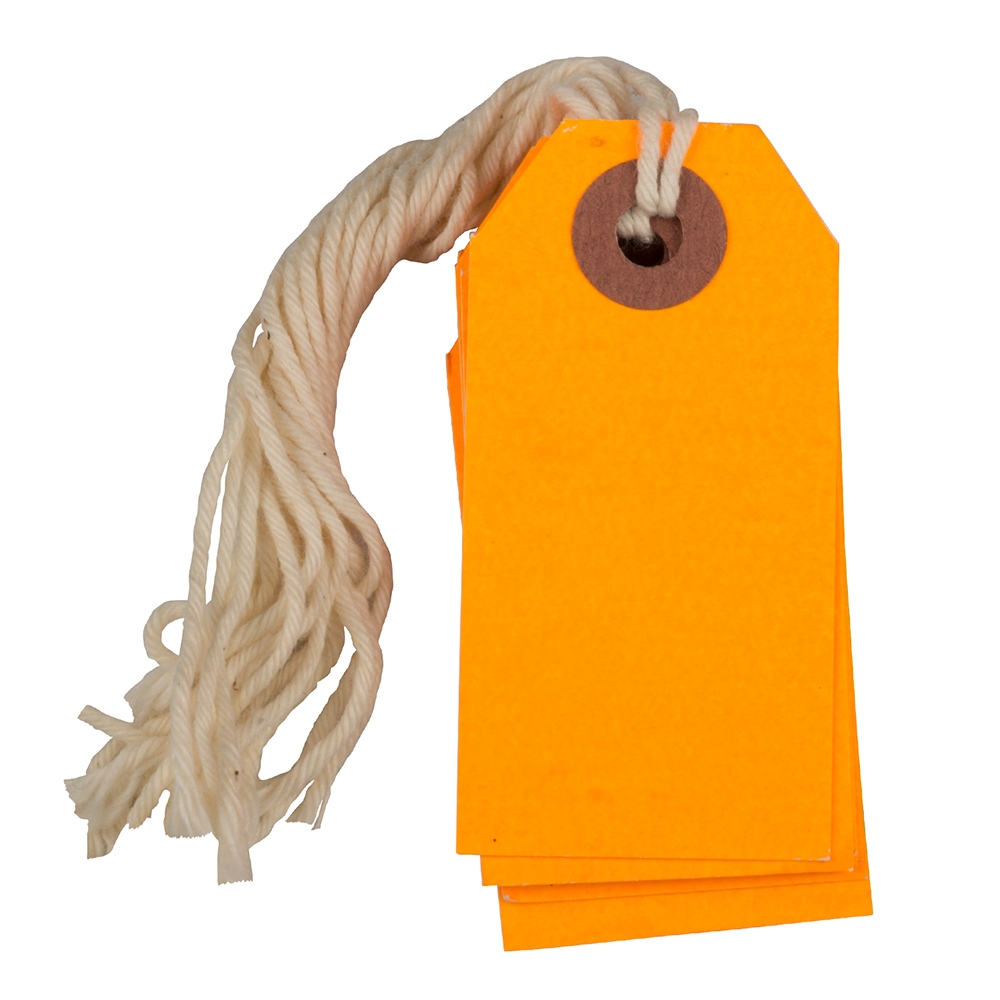 JAM Tiny Neon Orange Paper Gift Tags, with String 10" x 4.75" x 2" (10 Count)