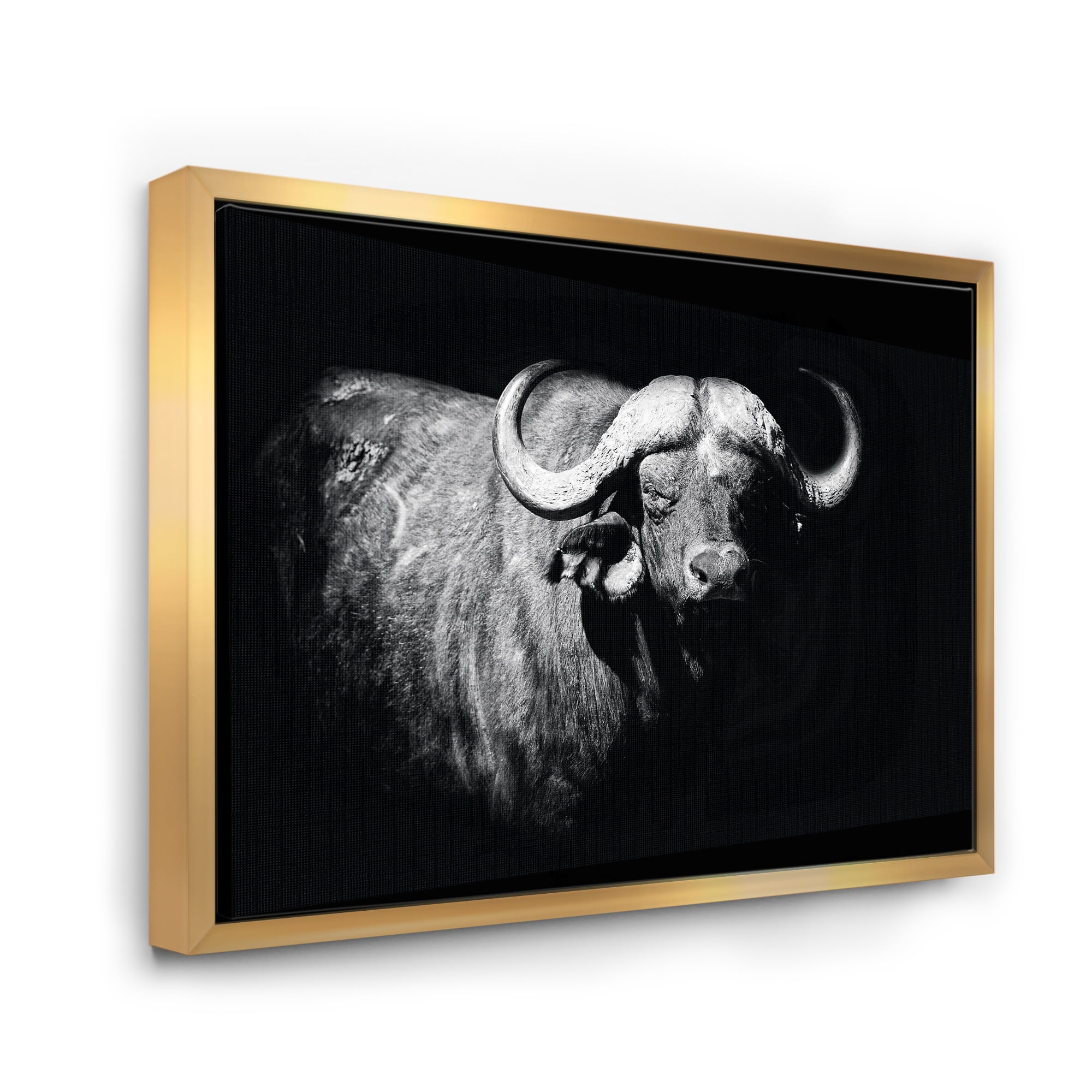 Designart 'Black and White Portrait Of Buffalo I' Farmhouse Framed Canvas Wall Art Print