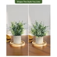 thumbnail image 3 of Plantas artificiales de terciopelo en maceta de eucalipto para decoración del hogar, 2 unidades, 3 of 8