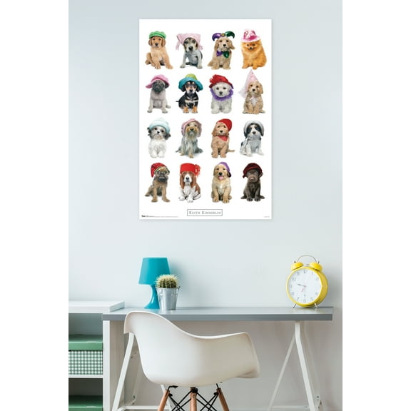 Trends International Kimberlin - Puppies With Hats Poster