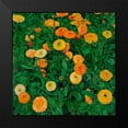 thumbnail image 2 of Moser, Koloman 15x15 Black Modern Framed Museum Art Print Titled - Marigolds, 2 of 5