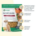 thumbnail image 5 of Dr. Marty Nature's Blend Healthy Growth Freeze Dried Raw Food for Puppies, 80-oz, 5 of 8